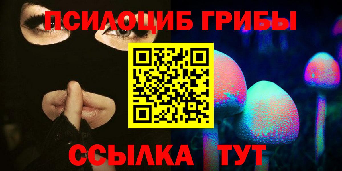 Псилоцибиновые грибы прущие грибы  купить наркоту  Вход с VPN  Новоалександровск  Псилоцибиновые грибы прущие грибы 